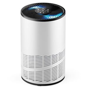 Air Purifier for Home: DUMOS 3-in-1 HEPA for Large Rooms