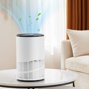 Air Purifier for Home: HEPA Cleaner for Large Rooms up to 1200 ft²