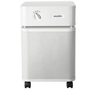 Air Purifier for Large Room: Austin Air HealthMate Plus Air Purifier for Large Room: Austin Air HealthMate Plus