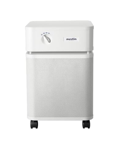 Air Purifier for Large Room: Austin Air HealthMate Plus