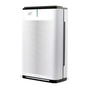 Air Purifier for Large Room: Brondell P700BB-W, Clean Air