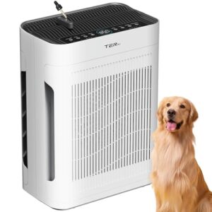 Air Purifier for Large Room: H13 HEPA Filter, 2500 Sq Ft Air Purifier for Large Room: H13 HEPA Filter, 2500 Sq Ft