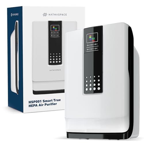 Air Purifier for Large Room: HATHASPACE HSP001 HEPA Filter