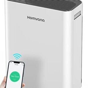 Air Purifier for Large Room | Homvana H13 HEPA Filter