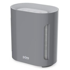 Air Purifier for Large Room: PureZone with H13 HEPA Filter Air Purifier for Large Room: PureZone with H13 HEPA Filter