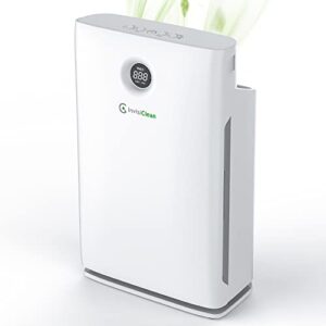 Air Purifier for Large Room – Smokeless, HEPA, Quiet Clean