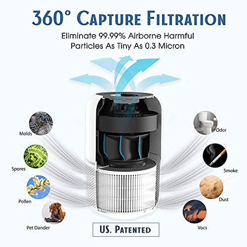 Air Purifier for Large Room - Tredy HEPA for Allergies & Odors - Image 2