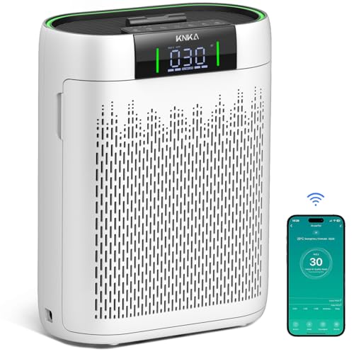 Air Purifier for Large Room Up to 1740 Ft² with HEPA Filter