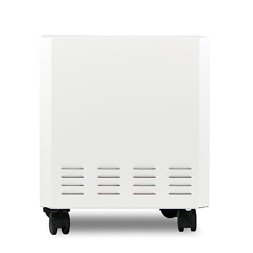 Air Purifier for Mold & Allergens | EnviroKlenz 1000 Sq Ft
