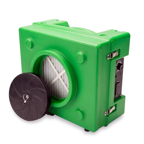 Air Purifier for Mold: B-Air BA-RA-650-GN HEPA Scrubber