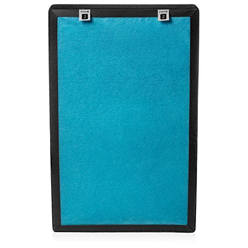 Air Purifier for Mold: Brondell Horizon O2+ Replacement Filter