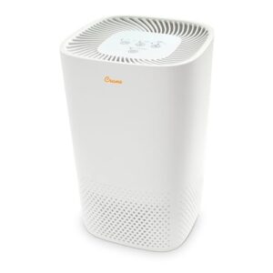 Air Purifier for Mold with UV Light & True HEPA Filter Air Purifier for Mold with UV Light & True HEPA Filter