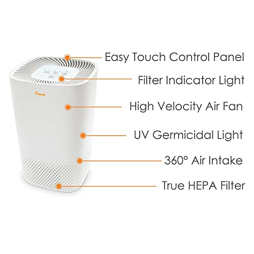 Air Purifier for Mold with UV Light & True HEPA Filter - Image 2