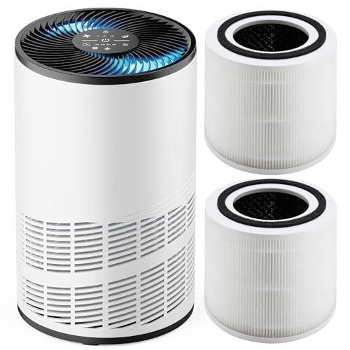 Air Purifier for Room: DUMOS HEPA for Large Spaces, Quiet