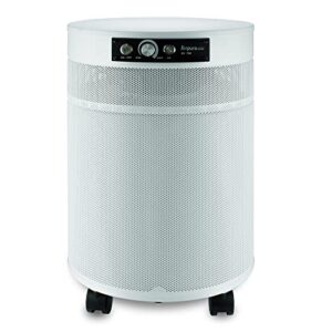 Air Purifier for Room: P714 Airpura for Germs, Mold & Chemicals Air Purifier for Room: P714 Airpura for Germs, Mold & Chemicals