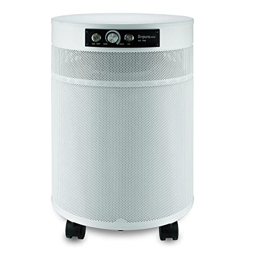 Air Purifier for Room: P714 Airpura for Germs, Mold & Chemicals