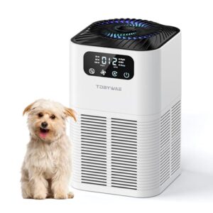 Air Purifier for Room Up to 1076 Sq Ft with HEPA Filter Air Purifier for Room Up to 1076 Sq Ft with HEPA Filter