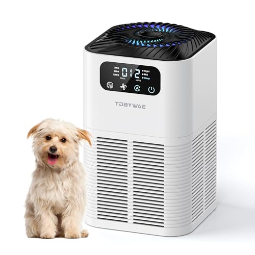 Air Purifier for Room Up to 1076 Sq Ft with HEPA Filter