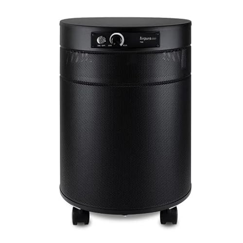 Air Purifier for Smoke: Airpura T700 for Tobacco & Odors