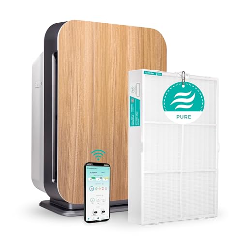 Air Purifier for Smoke: Alen BreatheSmart 75i for Large Rooms