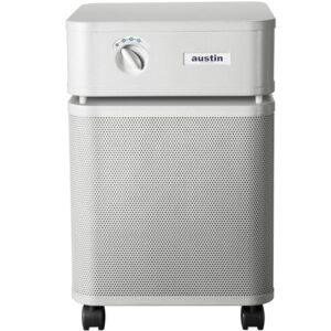 Air Purifier for Smoke: Austin Air Healthmate Plus Review Air Purifier for Smoke: Austin Air Healthmate Plus Review