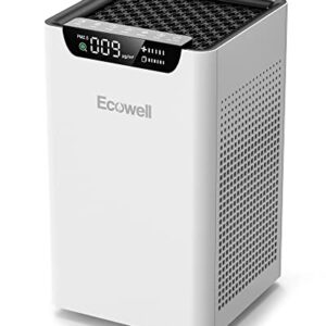 Air Purifier for Smoke – ECOWELL HEPA for Large Rooms Air Purifier for Smoke – ECOWELL HEPA for Large Rooms