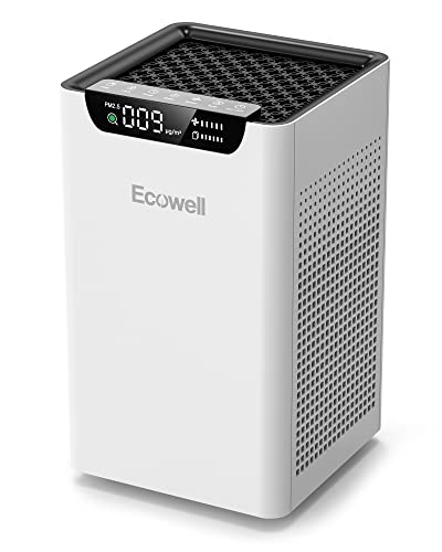 Air Purifier for Smoke - ECOWELL HEPA for Large Rooms