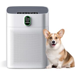 Air Purifier for Smoke – Morento 1076 Sq Ft, Pet Hair Sensor Air Purifier for Smoke – Morento 1076 Sq Ft, Pet Hair Sensor
