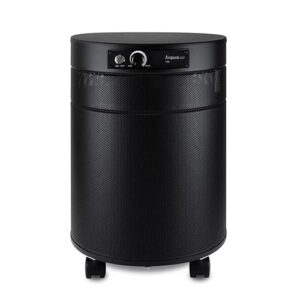 Airpura C700 DLX: Best Air Purifier for Bedroom Use Airpura C700 DLX: Best Air Purifier for Bedroom Use
