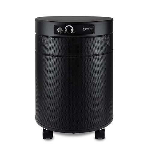 Airpura C700 DLX: Best Air Purifier for Bedroom Use