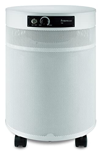 Airpura C700 DLX: Best Air Purifier for Room and Gas Abatement