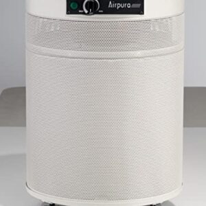 “Airpura F600DLX: Top Air Purifier for Formaldehyde & VOCs”