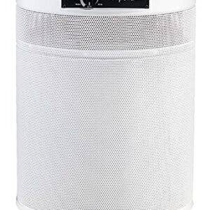 Airpura I600 HEPA Air Purifier – Clean Air & Odor Elimination Airpura I600 HEPA Air Purifier – Clean Air & Odor Elimination