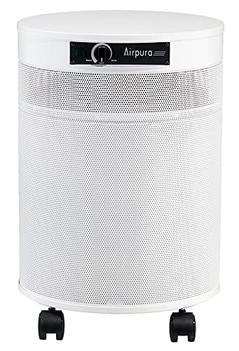 Airpura I600 HEPA Air Purifier - Clean Air & Odor Elimination