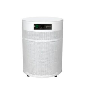 “Airpura R400: Your Everyday Solution for Clean Air” “Airpura R400: Your Everyday Solution for Clean Air”