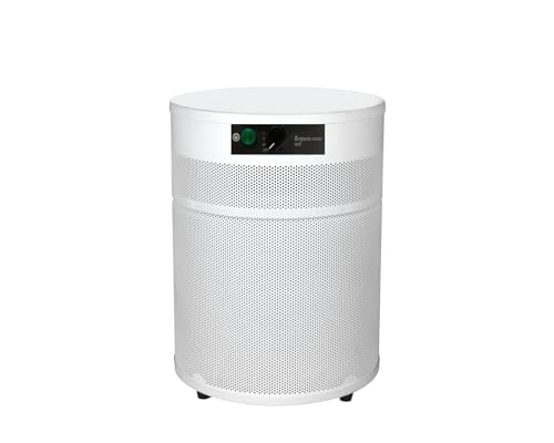 "Airpura R400: Your Everyday Solution for Clean Air"