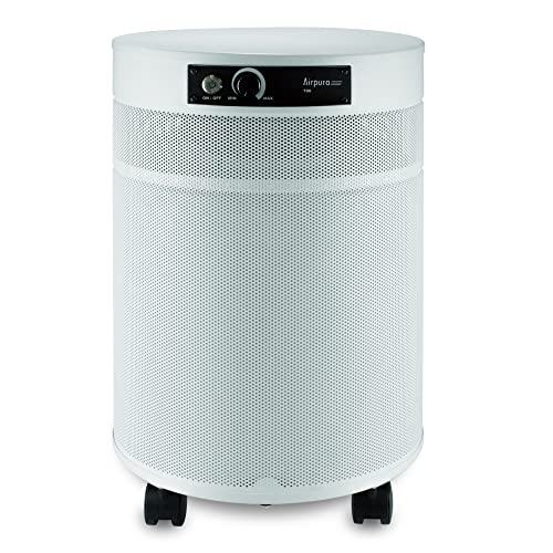"Airpura R714 Super HEPA Air Purifier for Everyday Use"