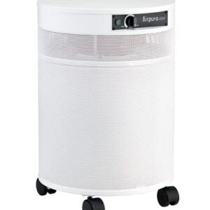 Airpura V600: Best Air Purifier for Smoke and Allergens