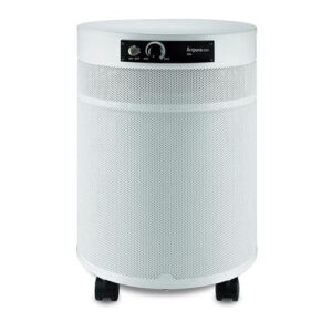 Airpura V700: Best Air Purifier for Bedroom and Wildfire Smoke