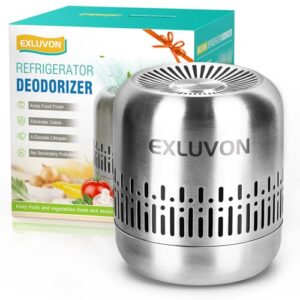 Best Air Purifier for Home: 10-Year Fridge Deodorizer