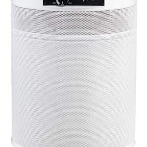 Best Air Purifier for Pets: AIRPURA C600DLX for Clean Air Best Air Purifier for Pets: AIRPURA C600DLX for Clean Air