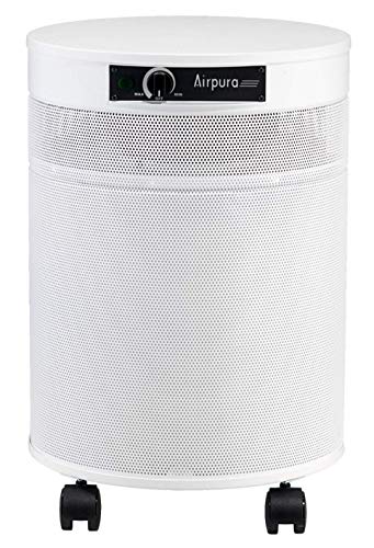 Best Air Purifier for Pets: AIRPURA C600DLX for Clean Air