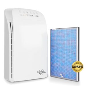 Best Air Purifier for Pets: MSA3 with Extra Replacement Filter Best Air Purifier for Pets: MSA3 with Extra Replacement Filter