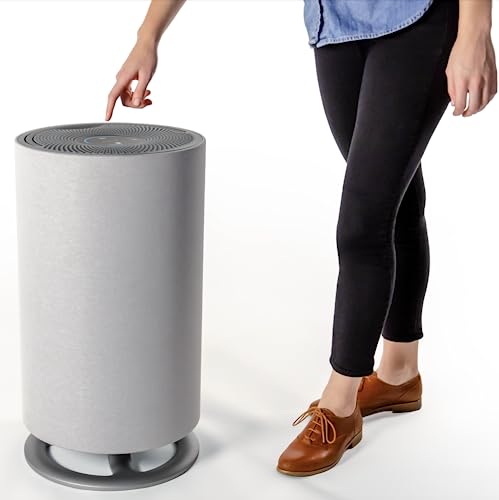Best Air Purifier for Pets: ORANSI mod+ HEPA for Large Rooms - Image 2