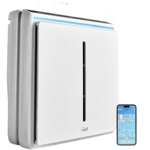 Best Air Purifier for Pets: Rabbit Air Ultra Quiet HEPA Best Air Purifier for Pets: Rabbit Air Ultra Quiet HEPA