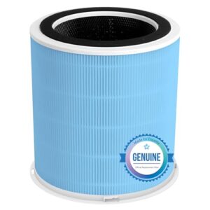 Dust-Capturing H14 HEPA Filter for DAYETTE Air Purifiers Dust-Capturing H14 HEPA Filter for DAYETTE Air Purifiers