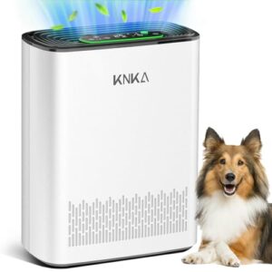 “KNKA APH3000 Air Purifier for Large Rooms & Allergens” “KNKA APH3000 Air Purifier for Large Rooms & Allergens”