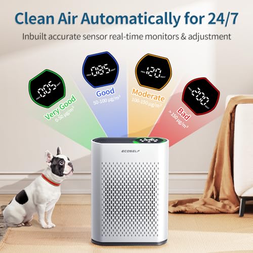 "Quiet Air Purifier for Large Rooms Up to 1400 Ft² - HAP602" - Image 2