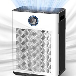“Top Air Purifier for Allergies: H14 HEPA, Quiet & Large Room”
