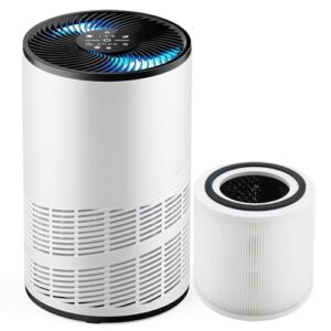 “Top Air Purifier for Home: DUMOS H13 HEPA, Ultra Quiet”